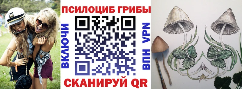блэк спрут рабочий сайт  Бобров  Псилоцибиновые грибы мухоморы 
